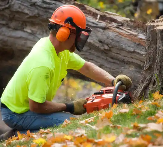 tree services Ortonville